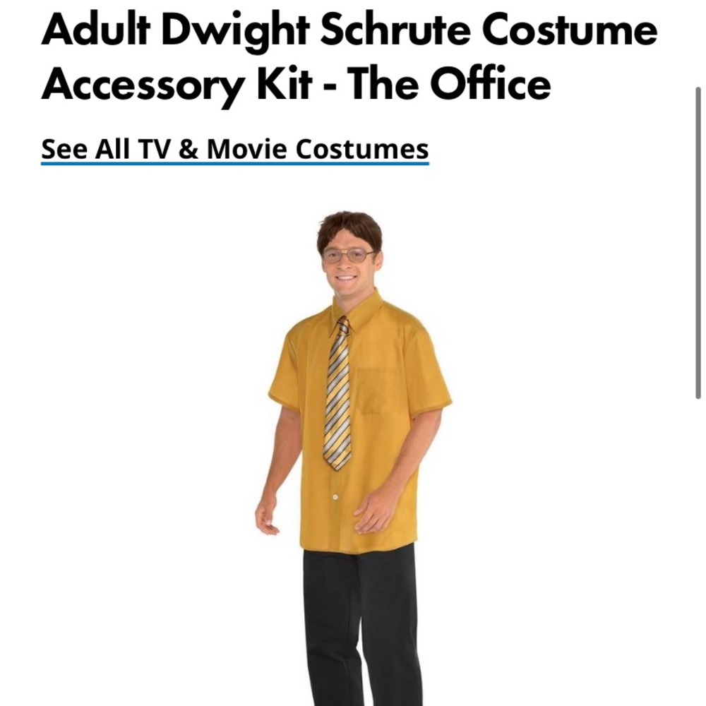 The office Dwight adult costume